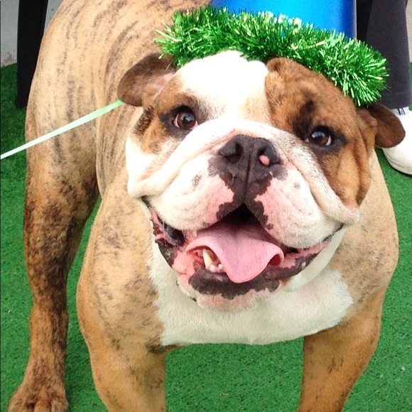 Meet your Posher, Sara j - Picture 1 of 1